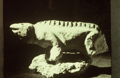 Houstosaurus