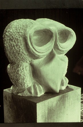 The Owl at Rice University